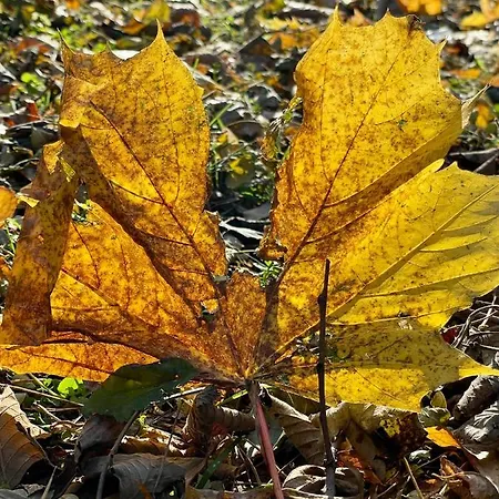 Nad Morzem Bay View Gdańsk