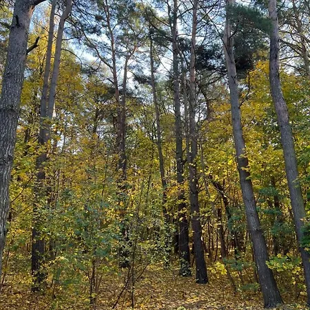 Apartmán Nad Morzem Bay View *